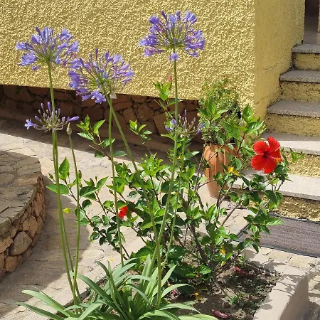 Da Laura לינה וארוחת בוקר סאן תאודורו